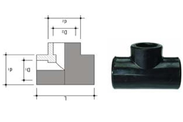 Nối Trong Tê Thu D63x50x63