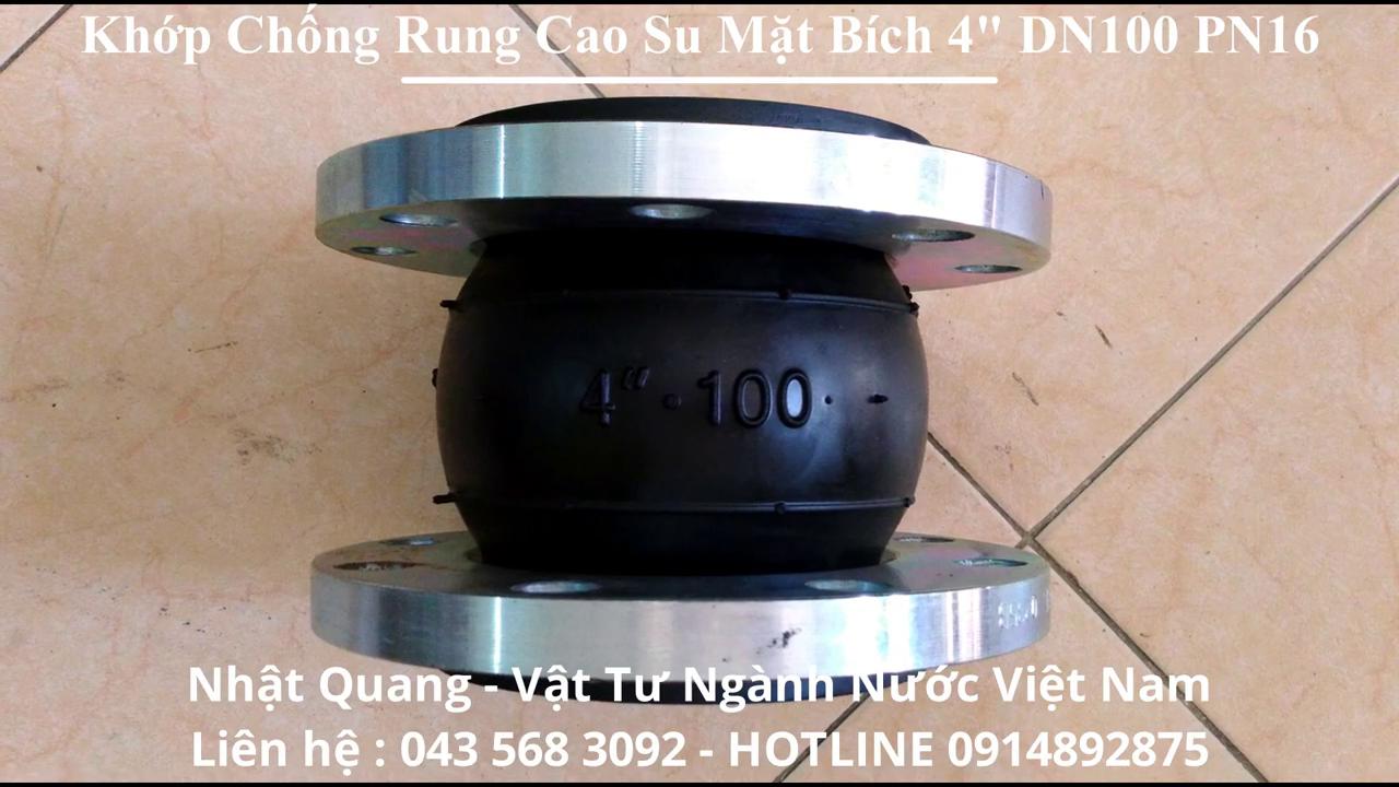 Khớp Chống Rung Cao Su Mặt Bích ARV Malaysia DN100 PN16